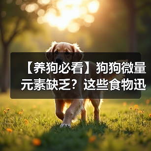 【养狗必看】狗狗微量元素缺乏？这些食物迅速补充！（图2）