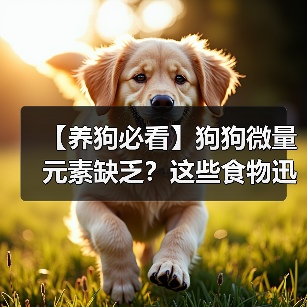 【养狗必看】狗狗微量元素缺乏？这些食物迅速补充！（图3）