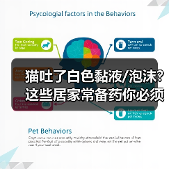 猫吐了白色黏液/泡沫?这些居家常备药你必须知道!(图3) 猫吐了白色黏液/泡沫?这些居家常备药你必须知道!(图3)