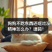 狗狗不吃东西还呕吐没精神怎么办?速码!(图3) 狗狗不吃东西还呕吐没精神怎么办?速码!(图3)