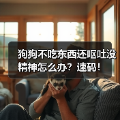 狗狗不吃东西还呕吐没精神怎么办?速码!(图2) 狗狗不吃东西还呕吐没精神怎么办?速码!(图2)