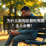 为什么狗狗总爱咬东西?主人必看!(图1) 为什么狗狗总爱咬东西?主人必看!(图1)