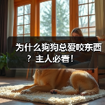 为什么狗狗总爱咬东西?主人必看!(图2) 为什么狗狗总爱咬东西?主人必看!(图2)