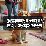 猫瘟和肠胃炎最明显的区别,教你快速分辨!(图2) 猫瘟和肠胃炎最明显的区别,教你快速分辨!(图2)