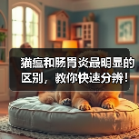 猫瘟和肠胃炎最明显的区别,教你快速分辨!(图3) 猫瘟和肠胃炎最明显的区别,教你快速分辨!(图3)