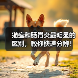 猫瘟和肠胃炎最明显的区别,教你快速分辨!(图4) 猫瘟和肠胃炎最明显的区别,教你快速分辨!(图4)