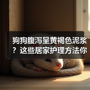 狗狗腹泻呈黄褐色泥浆?这些居家护理方法你试过了吗?(图4) 狗狗腹泻呈黄褐色泥浆?这些居家护理方法你试过了吗?(图4)