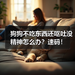 狗狗不吃东西还呕吐没精神怎么办?速码!(图4) 狗狗不吃东西还呕吐没精神怎么办?速码!(图4)