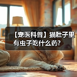 【宠医科普】猫肚子里有虫子吃什么药?(图2) 【宠医科普】猫肚子里有虫子吃什么药?(图2)