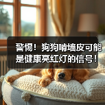 警惕!狗狗啃墙皮可能是健康亮红灯的信号!(图3) 警惕!狗狗啃墙皮可能是健康亮红灯的信号!(图3)