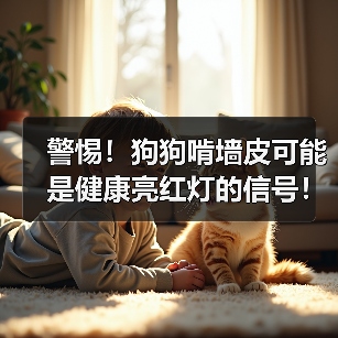 警惕！狗狗啃墙皮可能是健康亮红灯的信号！