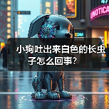 小狗吐出来白色的长虫子怎么回事？