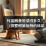 柯基挑食能坚持多久?(探索柯基独特的体能和毅力,揭示它们的持久之道)(图4) 柯基挑食能坚持多久?(探索柯基独特的体能和毅力,揭示它们的持久之道)(图4)