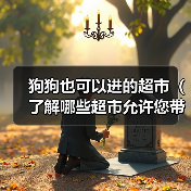 狗狗也可以进的超市（了解哪些超市允许您带狗狗入内）