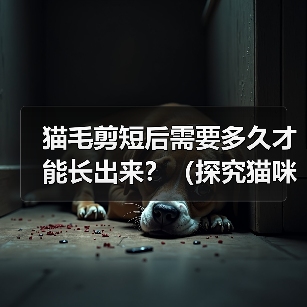 猫毛剪短后需要多久才能长出来?(探究猫咪剪毛后恢复生长的时间及关键因素)(图3) 猫毛剪短后需要多久才能长出来?(探究猫咪剪毛后恢复生长的时间及关键因素)(图3)