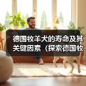 德国牧羊犬的寿命及其关键因素（探索德国牧羊犬寿命的多种因素和如何延长它们的生命周期）