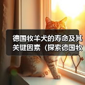 德国牧羊犬的寿命及其关键因素（探索德国牧羊犬寿命的多种因素和如何延长它们的生命周期）（图3）