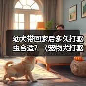 幼犬带回家后多久打驱虫合适?(宠物犬打驱虫时间表与方法解析)(图3) 幼犬带回家后多久打驱虫合适?(宠物犬打驱虫时间表与方法解析)(图3)