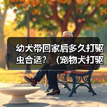 幼犬带回家后多久打驱虫合适?(宠物犬打驱虫时间表与方法解析)(图4) 幼犬带回家后多久打驱虫合适?(宠物犬打驱虫时间表与方法解析)(图4)