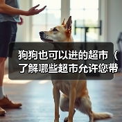 狗狗也可以进的超市(了解哪些超市允许您带狗狗入内)(图3) 狗狗也可以进的超市(了解哪些超市允许您带狗狗入内)(图3)
