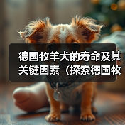 德国牧羊犬的寿命及其关键因素（探索德国牧羊犬寿命的多种因素和如何延长它们的生命周期）（图4）