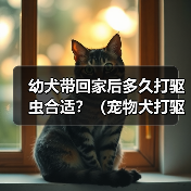 幼犬带回家后多久打驱虫合适？（宠物犬打驱虫时间表与方法解析）