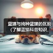蓝猫与纯种蓝猫的区别(了解蓝猫科普知识,从头探寻不一样的蓝猫世界)(图3) 蓝猫与纯种蓝猫的区别(了解蓝猫科普知识,从头探寻不一样的蓝猫世界)(图3)