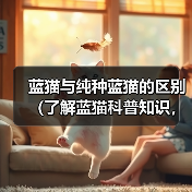 蓝猫与纯种蓝猫的区别(了解蓝猫科普知识,从头探寻不一样的蓝猫世界)(图4) 蓝猫与纯种蓝猫的区别(了解蓝猫科普知识,从头探寻不一样的蓝猫世界)(图4)