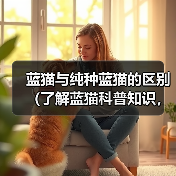蓝猫与纯种蓝猫的区别(了解蓝猫科普知识,从头探寻不一样的蓝猫世界)(图2) 蓝猫与纯种蓝猫的区别(了解蓝猫科普知识,从头探寻不一样的蓝猫世界)(图2)
