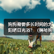狗狗需要多长时间的太阳晒日光浴?(揭秘狗狗适宜的日光浴时长与注意事项)(图2) 狗狗需要多长时间的太阳晒日光浴?(揭秘狗狗适宜的日光浴时长与注意事项)(图2)