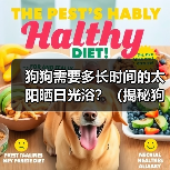 狗狗需要多长时间的太阳晒日光浴?(揭秘狗狗适宜的日光浴时长与注意事项)(图3) 狗狗需要多长时间的太阳晒日光浴?(揭秘狗狗适宜的日光浴时长与注意事项)(图3)