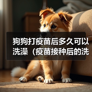 狗狗打疫苗后多久可以洗澡（疫苗接种后的洗澡时间和注意事项）