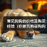 常见狗狗的价格及购买经验（你是否购买狗狗时花费过高？我是如何入手贵价狗狗的）