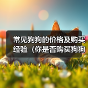 常见狗狗的价格及购买经验(你是否购买狗狗时花费过高?我是如何入手贵价狗狗的)(图4) 常见狗狗的价格及购买经验(你是否购买狗狗时花费过高?我是如何入手贵价狗狗的)(图4)