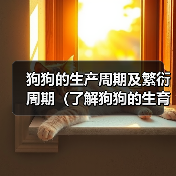 狗狗的生产周期及繁衍周期（了解狗狗的生育特点和生命周期，为宠物养殖提供参考）（图2）