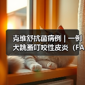 克维舒抗菌病例 | 一例犬跳蚤叮咬性皮炎（FAD）的病例分析（图3）