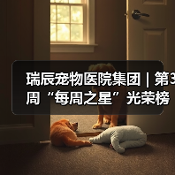瑞辰宠物医院集团 | 第3周“每周之星”光荣榜(图2) 瑞辰宠物医院集团 | 第3周“每周之星”光荣榜(图2)
