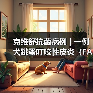 克维舒抗菌病例 | 一例犬跳蚤叮咬性皮炎（FAD）的病例分析