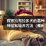 探索拉布拉多犬的品种特征和培养方法（拥抱最可爱的家庭宠物伴侣，让拉布拉多带给你无尽的快乐和陪伴）