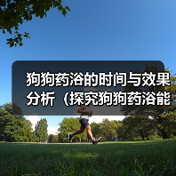 狗狗药浴的时间与效果分析（探究狗狗药浴能在多长时间内见效，）
