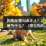狗狗夜里叫声不止?这是为什么?(探究狗狗夜里叫声不停的原因及如何解决)(图4) 狗狗夜里叫声不止?这是为什么?(探究狗狗夜里叫声不停的原因及如何解决)(图4)