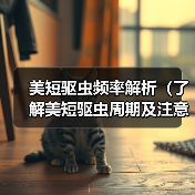 美短驱虫频率解析（了解美短驱虫周期及注意事项，助力宠物健康）