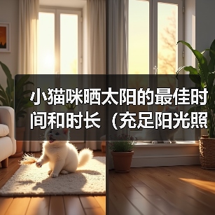 小猫咪晒太阳的最佳时间和时长(充足阳光照射对小猫咪健康的重要性)(图4) 小猫咪晒太阳的最佳时间和时长(充足阳光照射对小猫咪健康的重要性)(图4)