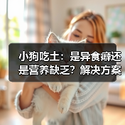 小狗吃土:是异食癖还是营养缺乏?解决方案来了(图4) 小狗吃土:是异食癖还是营养缺乏?解决方案来了(图4)