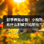 新手养狗必看!小狗到底什么时候开始驱虫?(图2) 新手养狗必看!小狗到底什么时候开始驱虫?(图2)