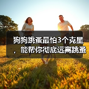 狗狗跳蚤最怕3个克星，能帮你彻底远离跳蚤（图2）