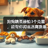 狗狗跳蚤最怕3个克星，能帮你彻底远离跳蚤（图3）