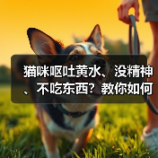 猫咪呕吐黄水、没精神、不吃东西?教你如何应对!(图3) 猫咪呕吐黄水、没精神、不吃东西?教你如何应对!(图3)