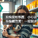 狗狗爱咬东西,小心这些隐藏危害!一招解决(图3) 狗狗爱咬东西,小心这些隐藏危害!一招解决(图3)