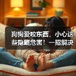 狗狗爱咬东西,小心这些隐藏危害!一招解决(图4) 狗狗爱咬东西,小心这些隐藏危害!一招解决(图4)